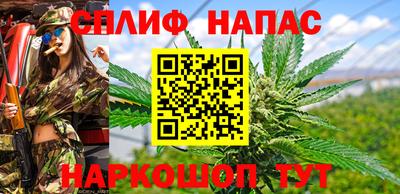 ПСИЛОЦИБИНОВЫЕ ГРИБЫ Гусев